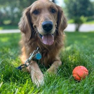 Meet your Posher, Sue